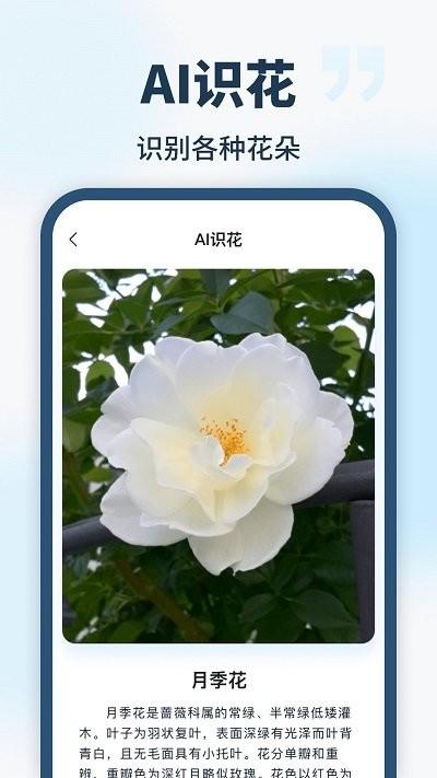 ailab识别app(智能识别全能王)下载,ailab,识别app