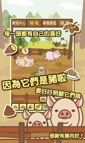 养猪场破解版下载,养猪场,模拟经营游戏,趣味游戏